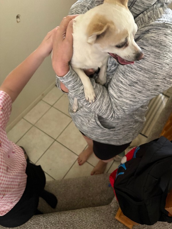 Picture of the Animal Listed