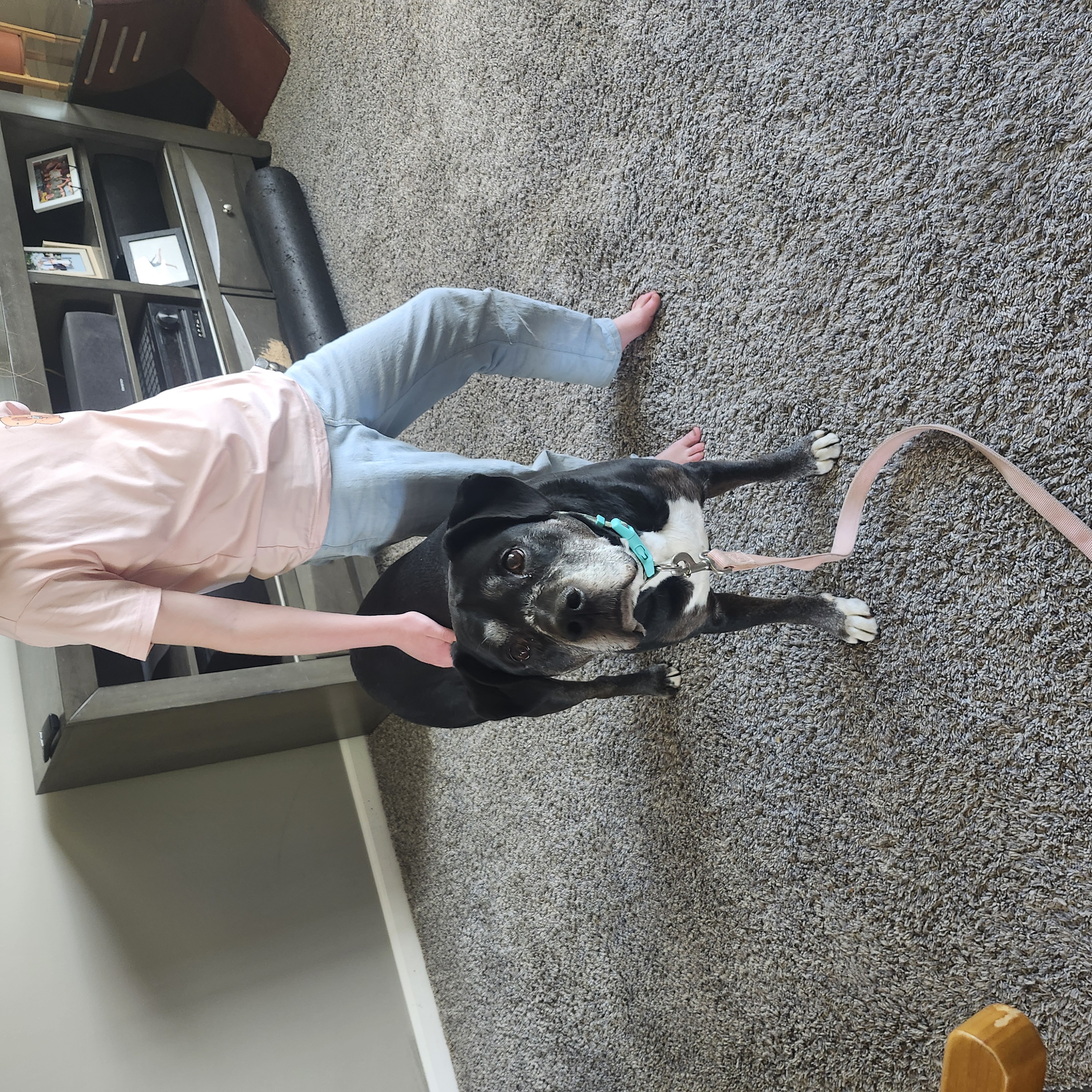 Picture of the Animal Listed