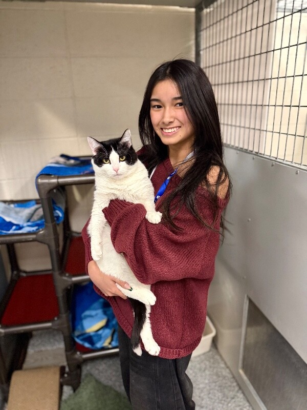 Picture of the Animal Listed