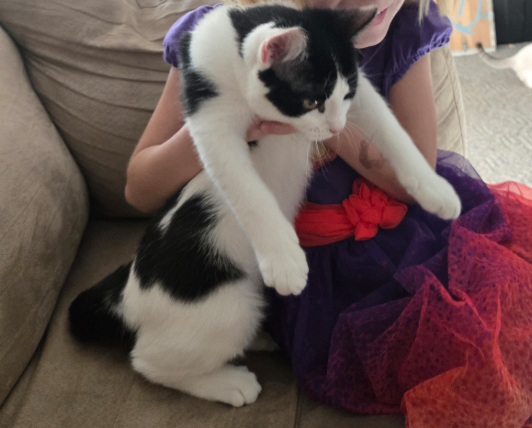 Picture of the Animal Listed