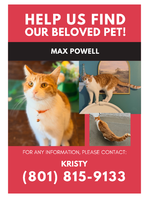 Picture of the Animal Listed