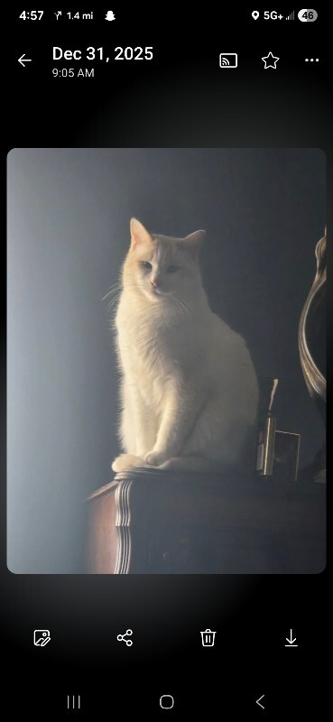 Picture of the Animal Listed