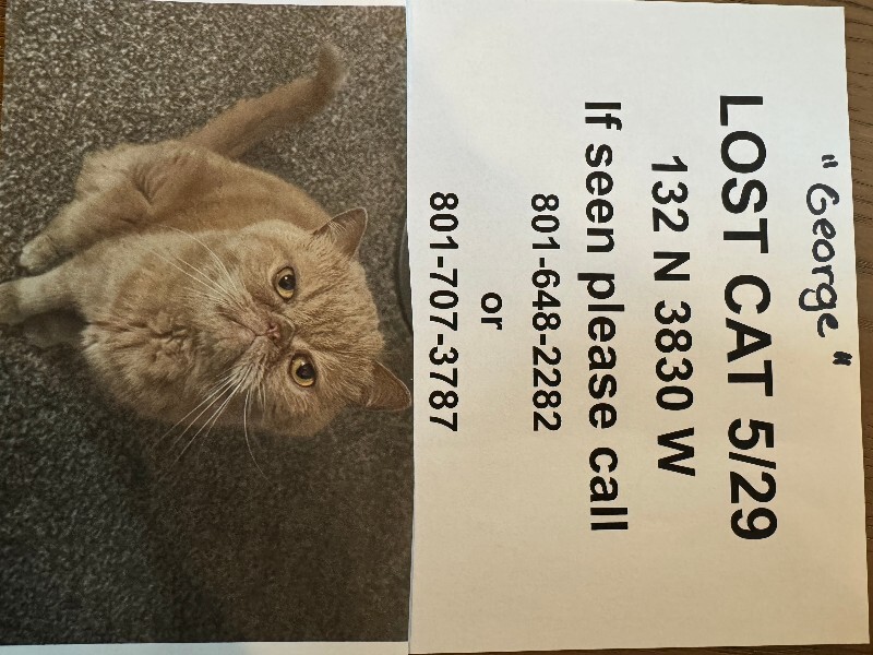 Picture of the Animal Listed