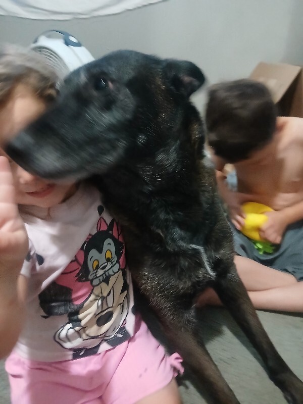 Picture of the Animal Listed