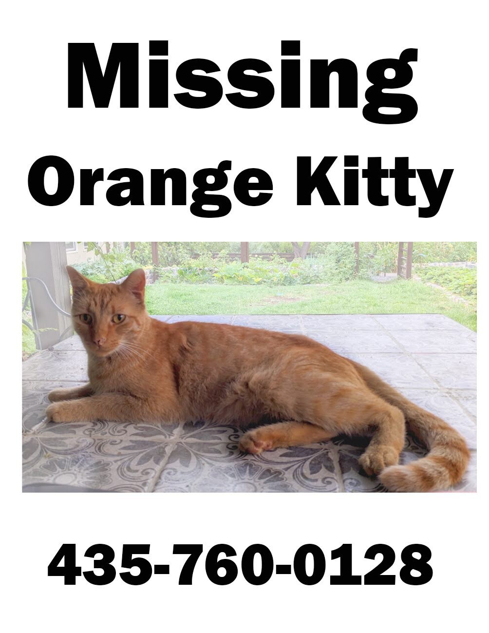 Picture of the Animal Listed
