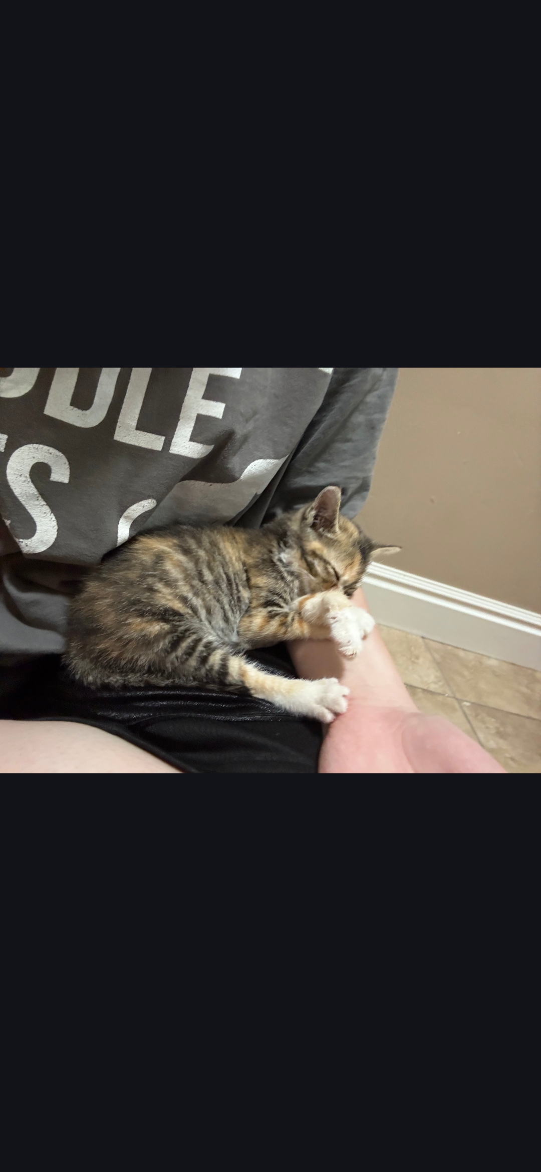 Picture of the Animal Listed