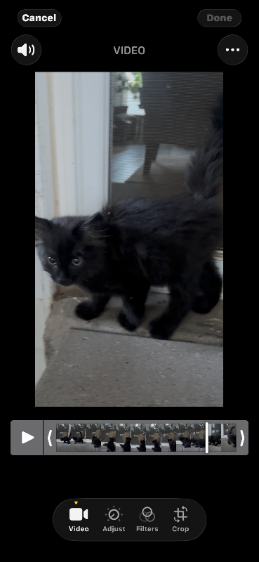Picture of the Animal Listed