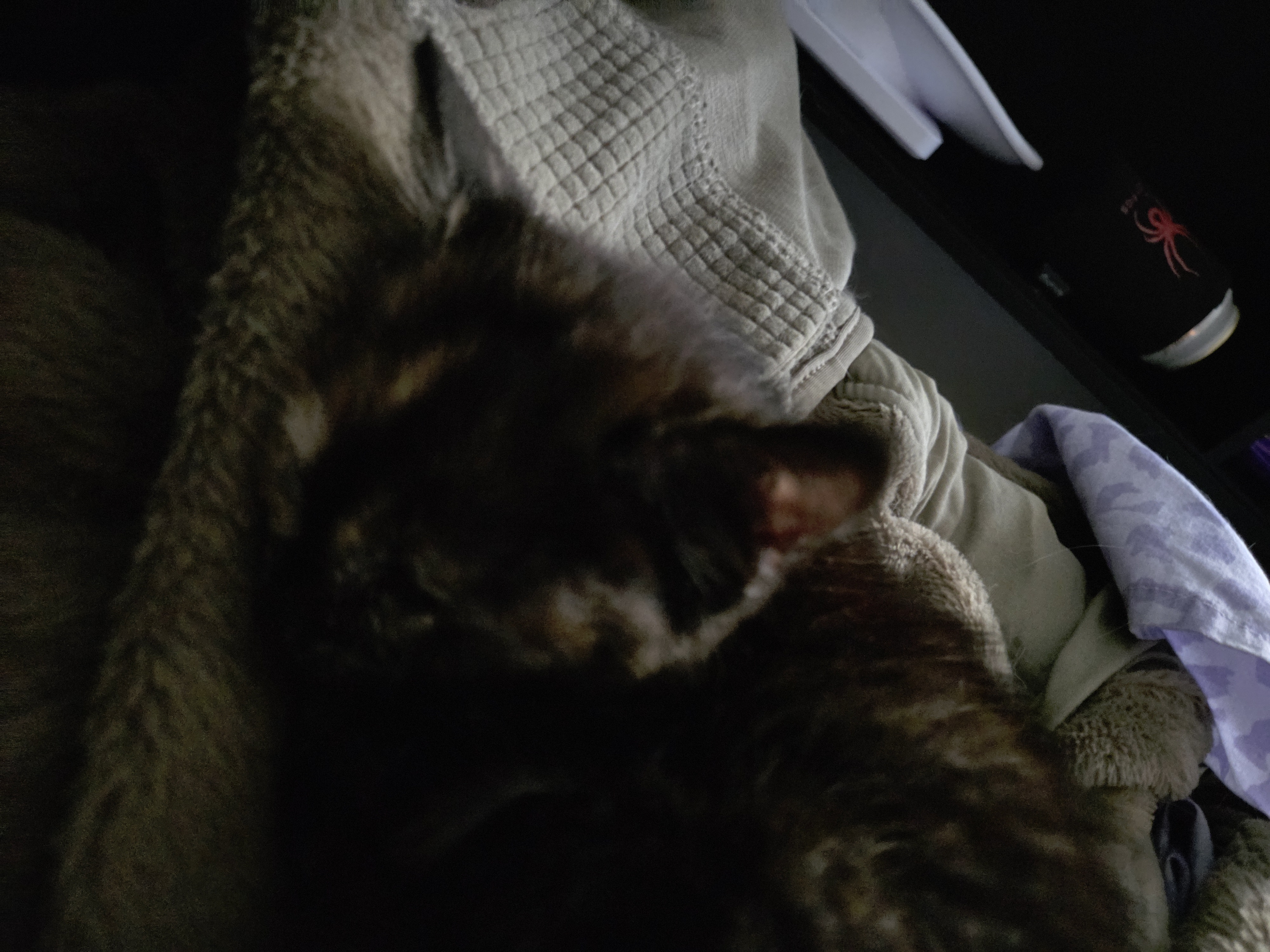 Picture of the Animal Listed