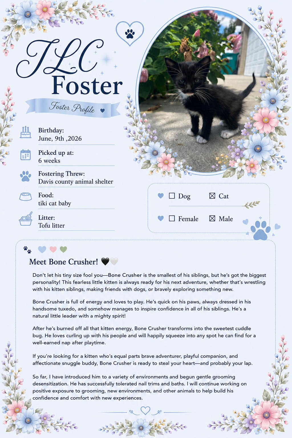 Picture of the Animal Listed