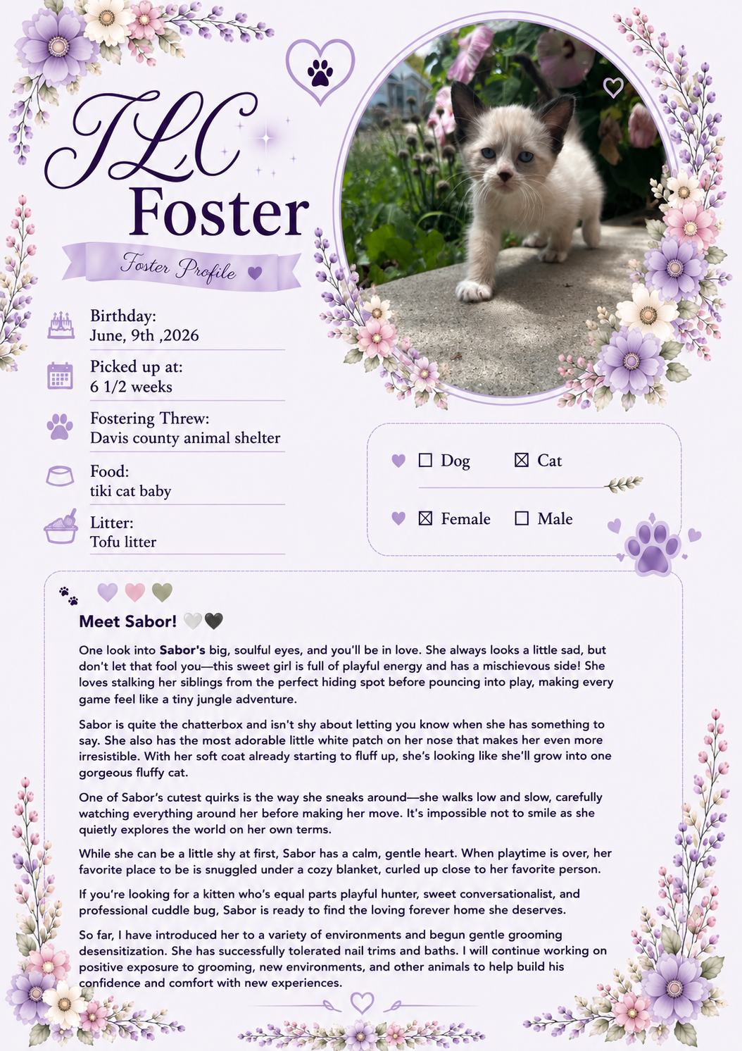 Picture of the Animal Listed