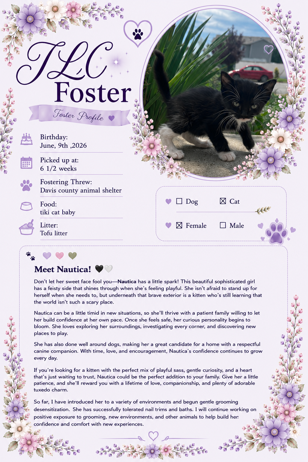 Picture of the Animal Listed