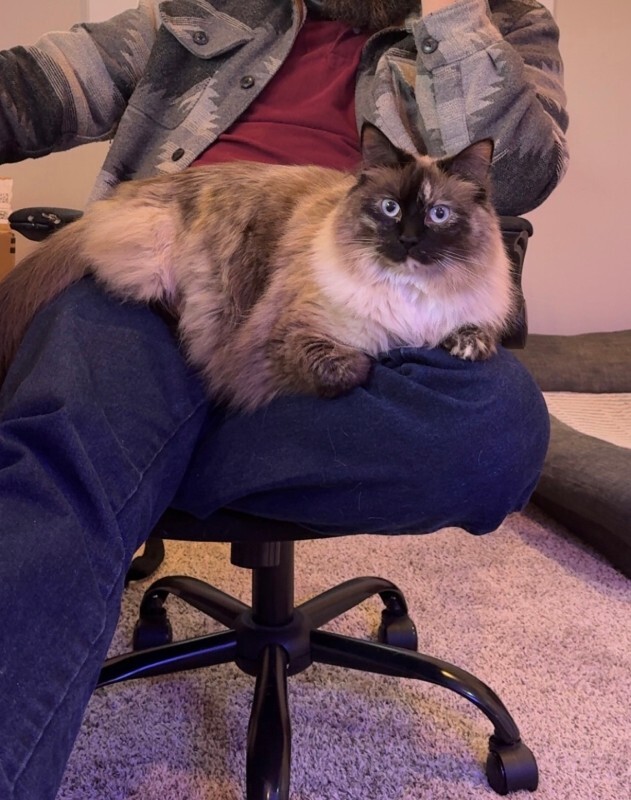 Picture of the Animal Listed