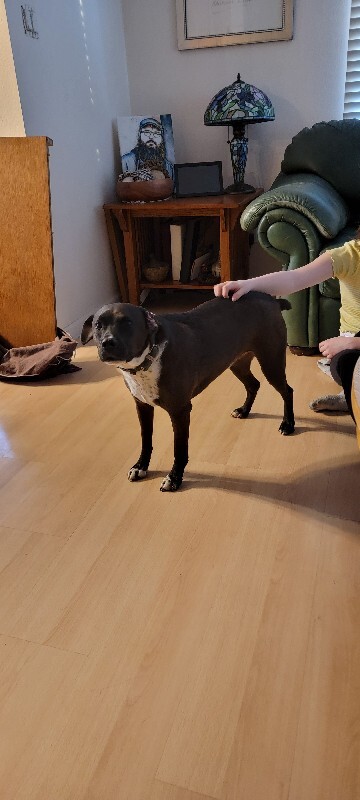 Picture of the Animal Listed