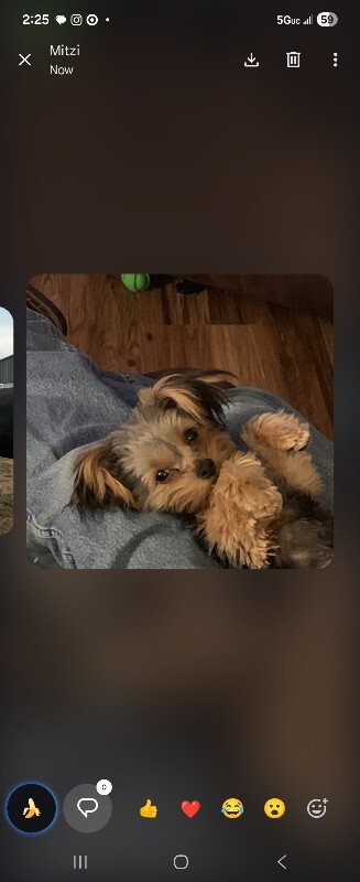 Picture of the Animal Listed