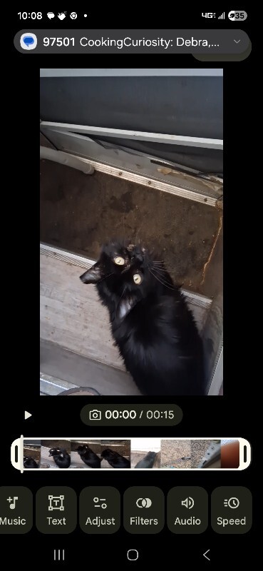 Picture of the Animal Listed