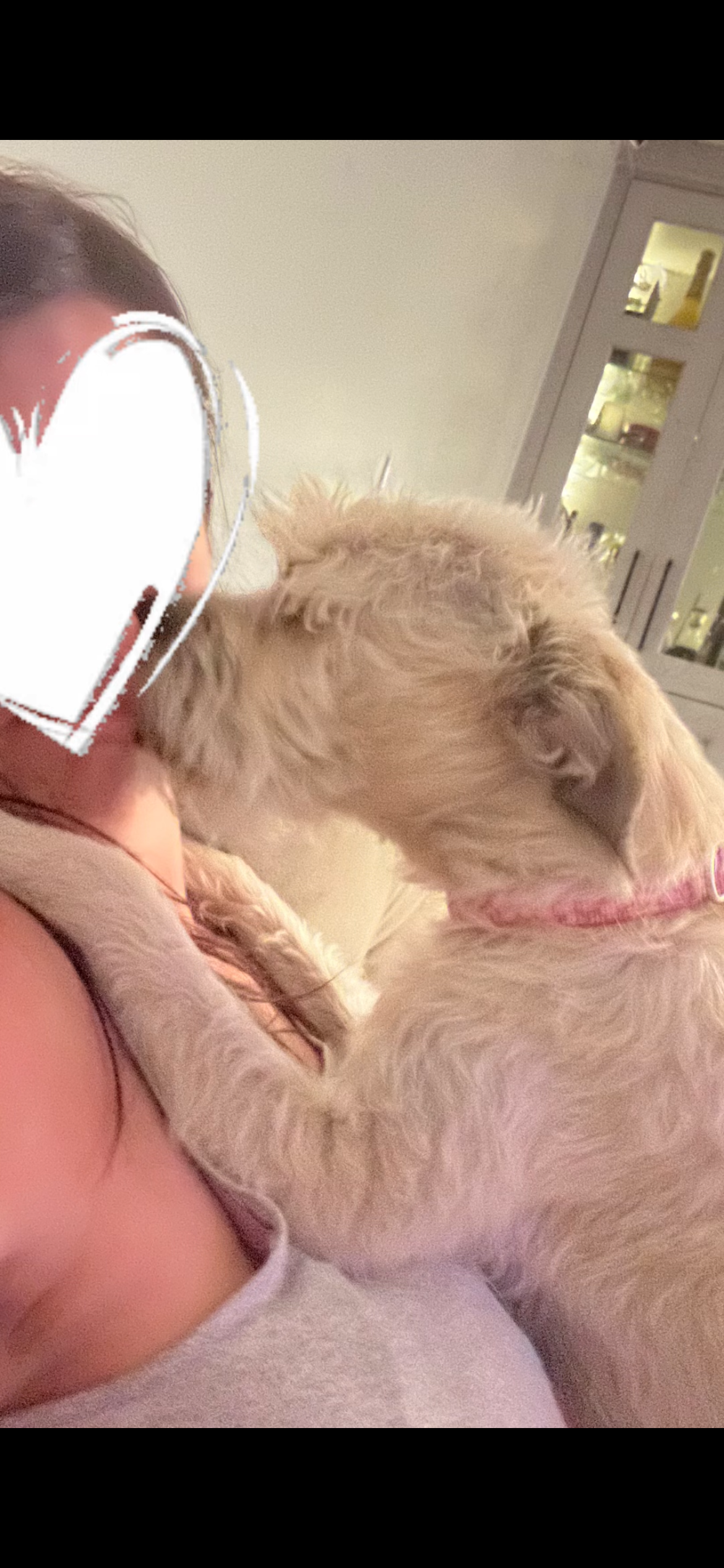 Picture of the Animal Listed