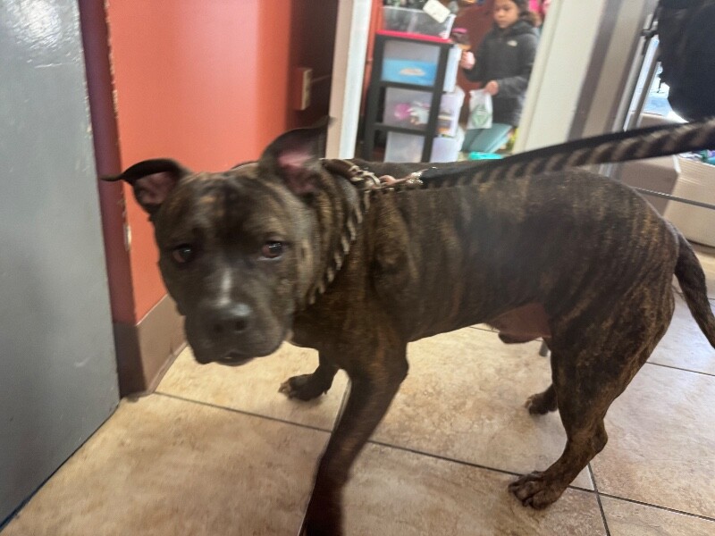 Learn More About Flex IMG 1630