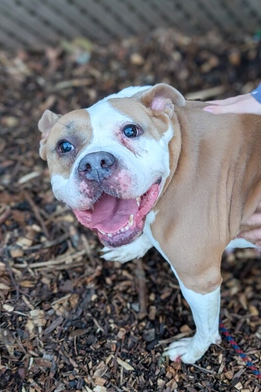 PXL 20260109 223020882.MP