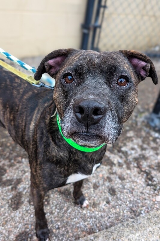 Learn More About Clefairy PXL 20260116 212247304