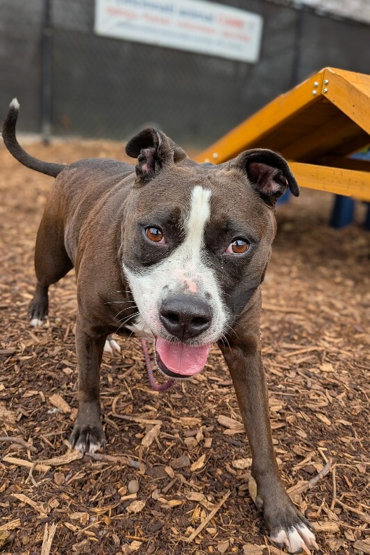 PXL 20251223 160543481 2