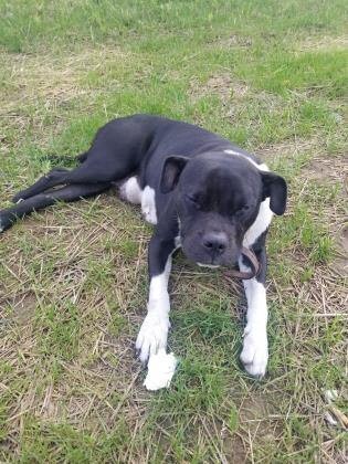 Learn More About Ryland 5db824c9 c906 497a 9719 4633d182bbe9