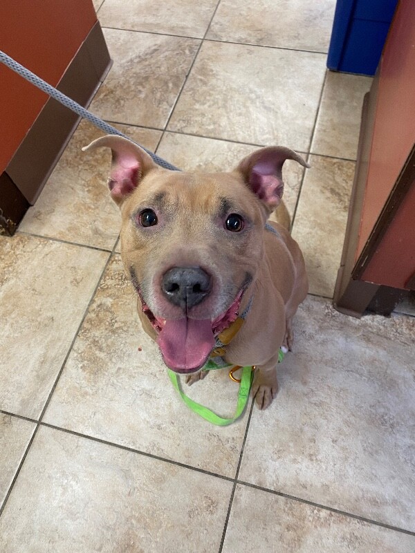 Learn More About Saylor Port IMG 5039