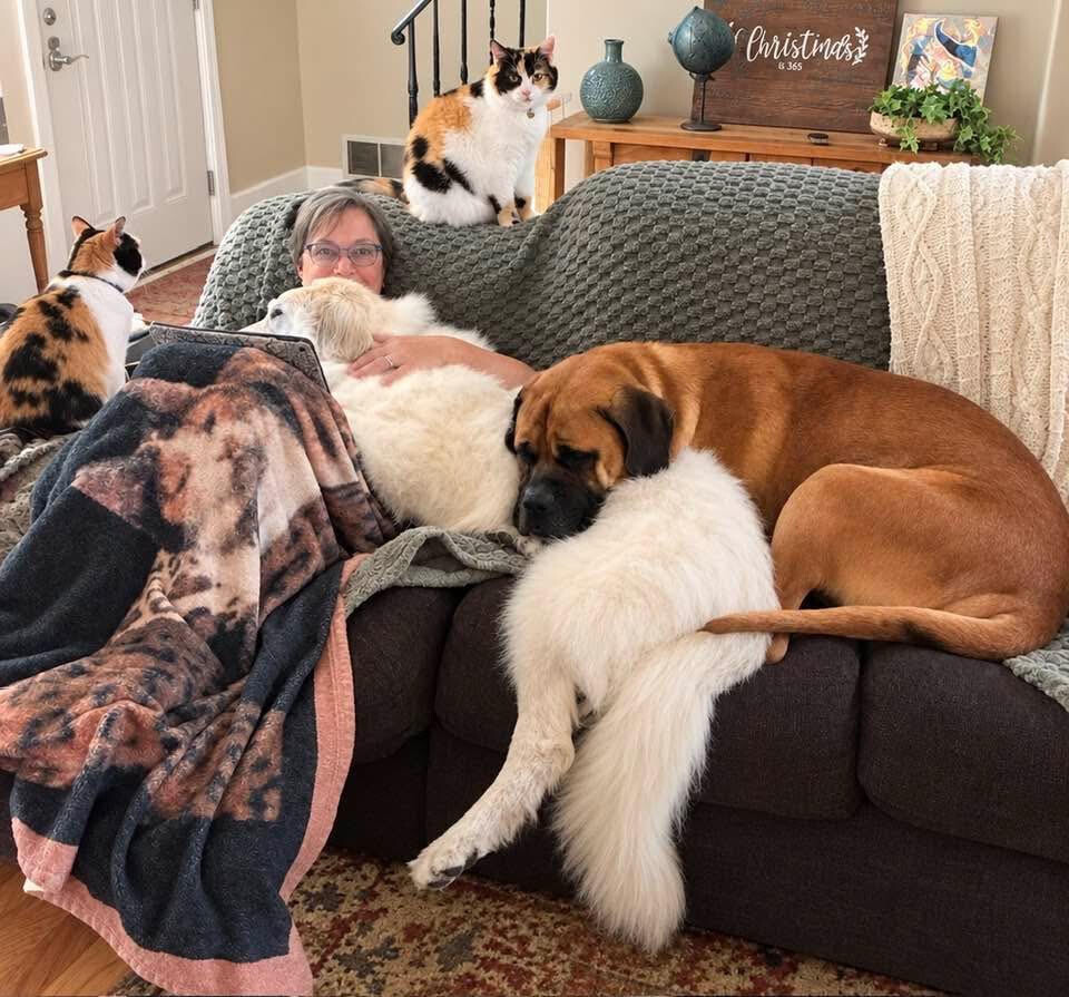 View Boomer the Dog Photo #9