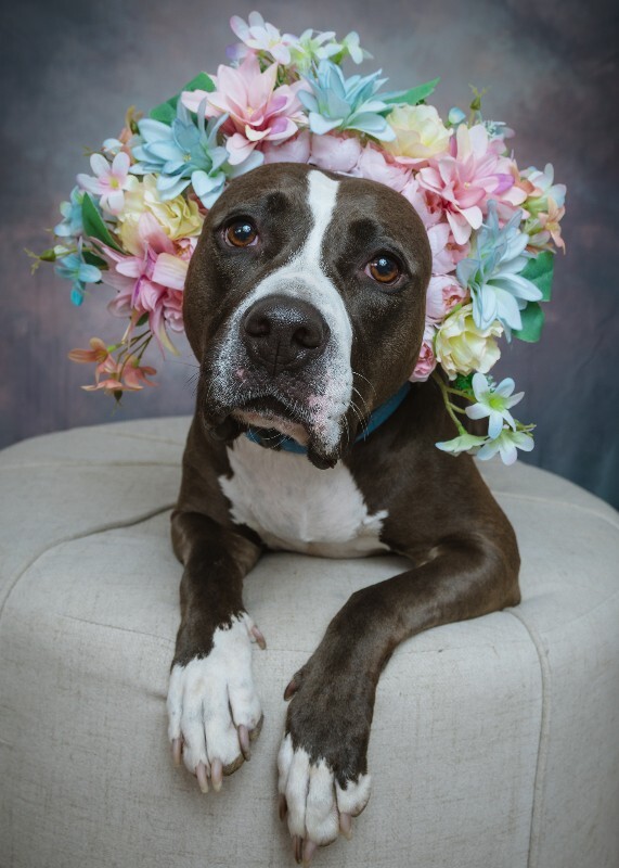 Baby Girl 1549 X4 (1)