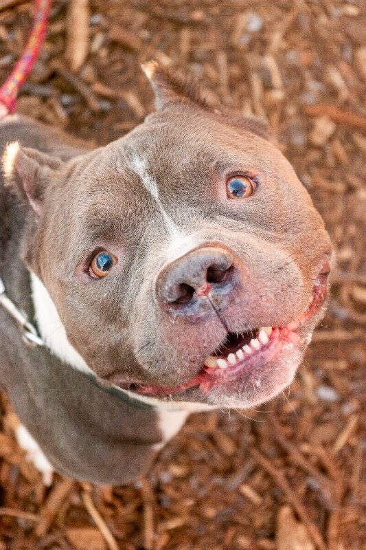 Learn More About Enchilada IMGP3796 Enhanced NR