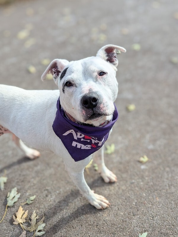 PXL 20251111 152141806 3