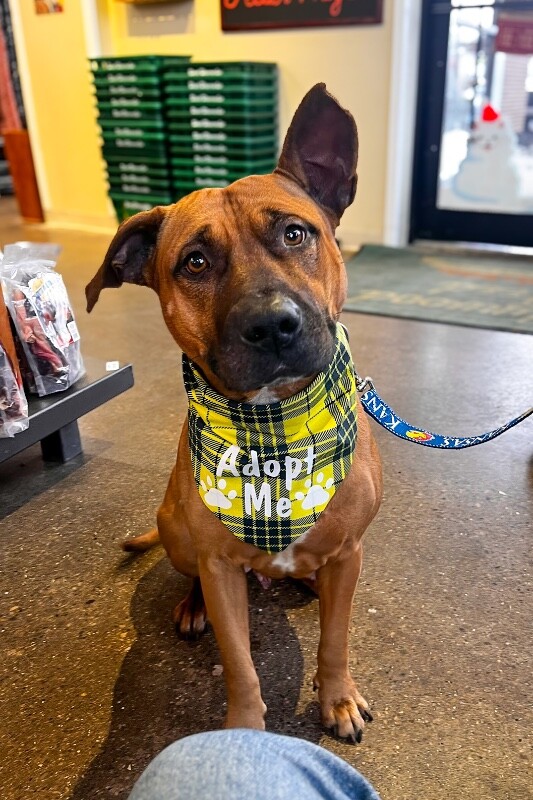 Learn More About Wine IMG 4374