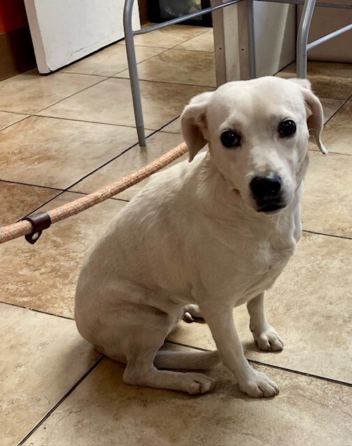 Learn More About Alva IMG 2111