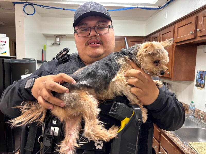 View Max the Dog Photo #4