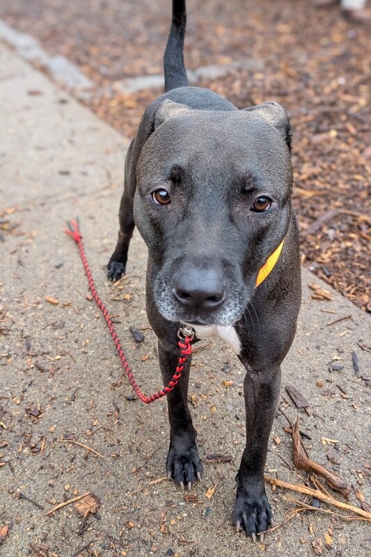 PXL 20260110 151456111.MP