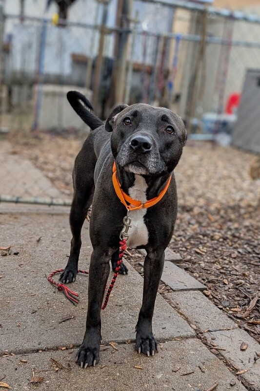 PXL 20260110 151632885.MP