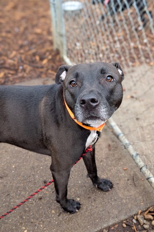 PXL 20260110 152758774.MP