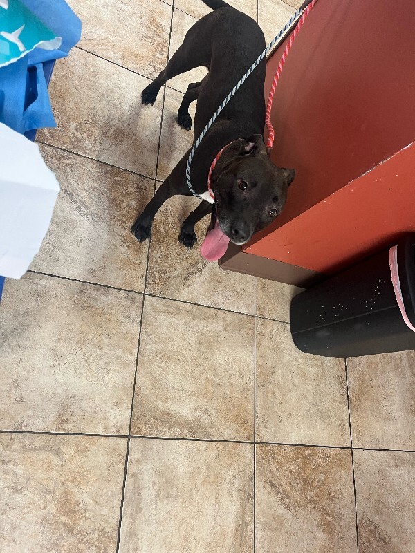 image1 2025 12 28T142713.325