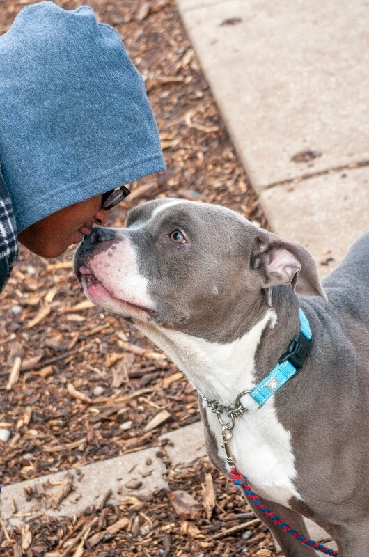 View California the Dog Photo #7