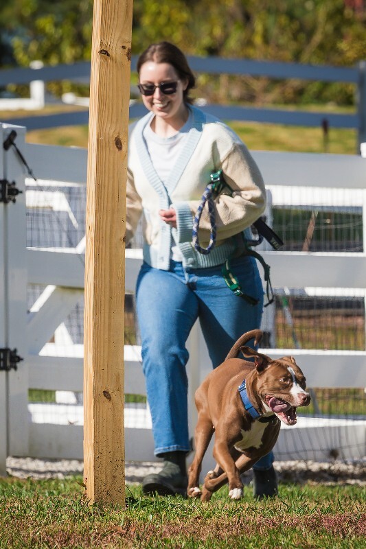 View Tropic the Dog Photo #10