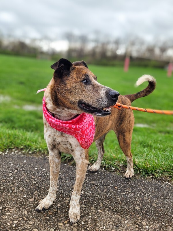 488614899 24434823416117399 179675438470184188 n 2