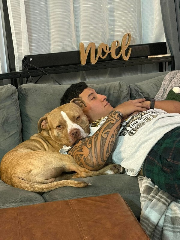 View Marcus the Dog Photo #5