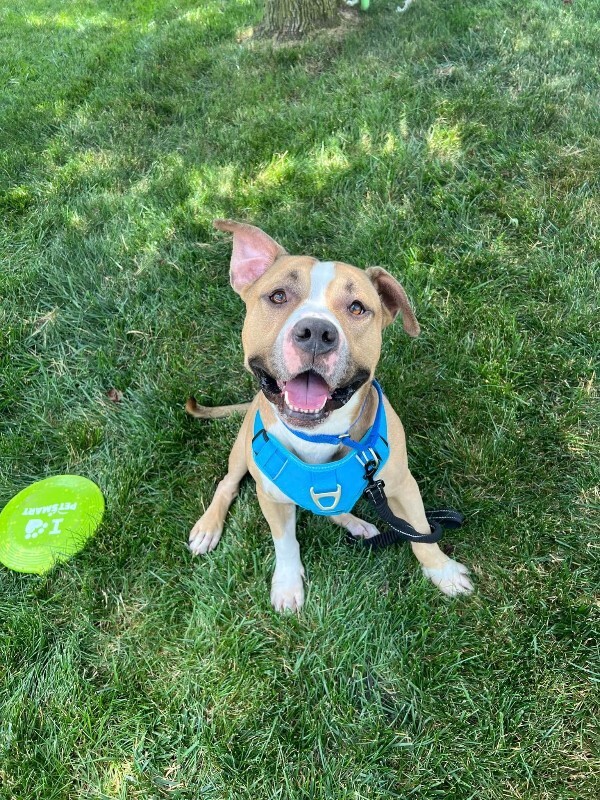 Learn More About Chaplin 536271285 1272906921245103 4520175852772850044 n