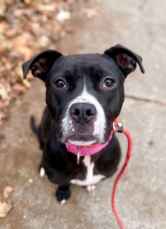 Learn More About Cassidy IMG 5413 2