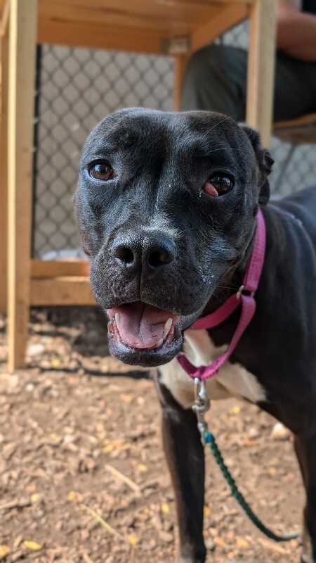 511140168 10238023834844900 8361852292839640725 n