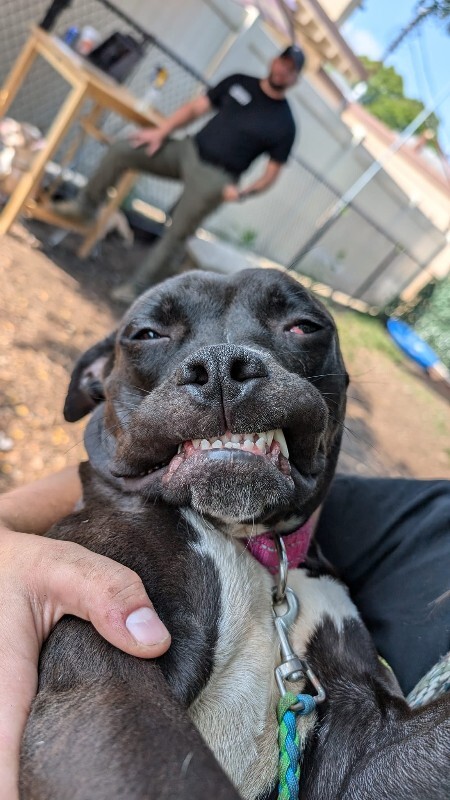 512907495 10238023839005004 5357811616237950300 n