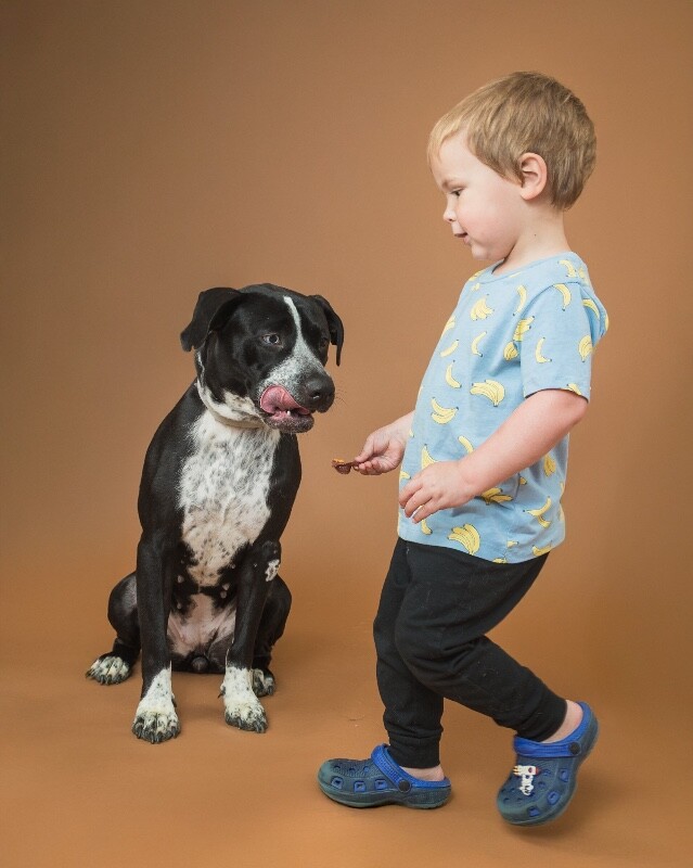 View Princess the Dog Photo #9