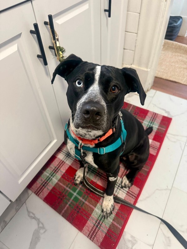 Learn More About Princess 599949189 10164839416407873 4100451014506545358 n