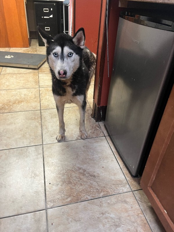 image0 2026 02 16T100657.874