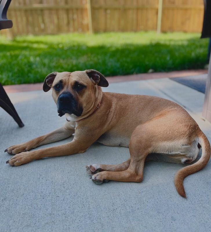 555568727 10161243468956126 4541490483550815252 n