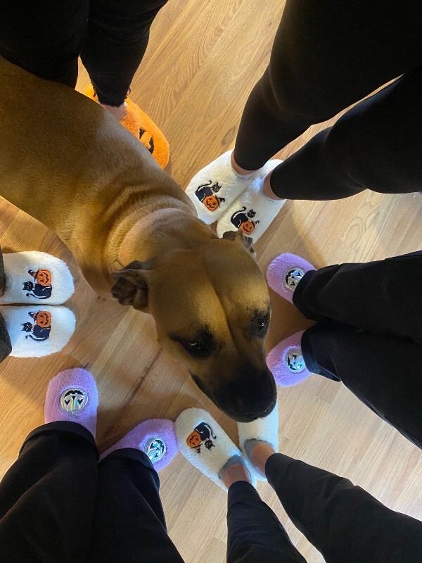 View Nala the Dog Photo #6